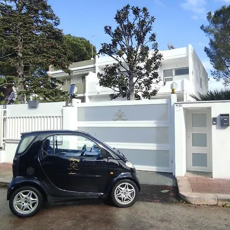 Guest house Magnolia